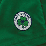 Children's Notre Dame/Ireland Tee